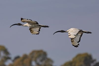 _V9A3821 2200px.jpg