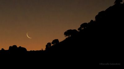 2V9A0461-Migliorato-NR copia.jpg