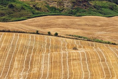 ***** Mix and Landscapes **********