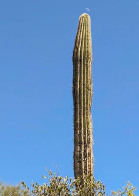 PXL_20230327_201742760_proc_c.jpg