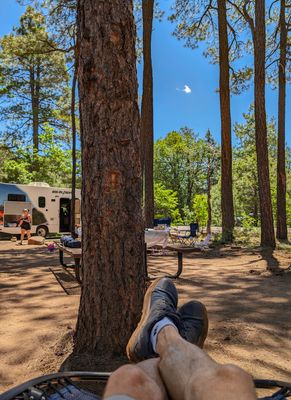 Family Camping Trip