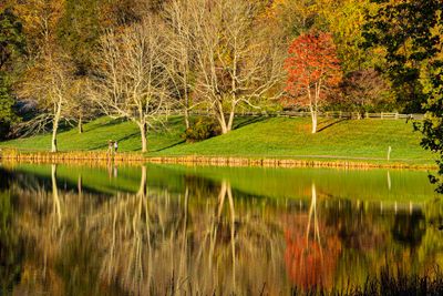 Blue Ridge Parkway Virginia