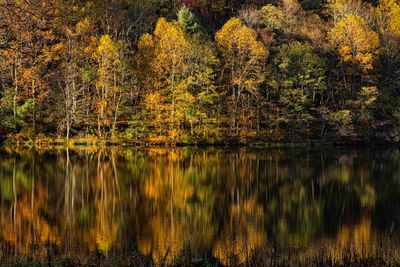 Blue Ridge Parkway Virginia