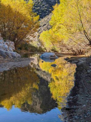 Creek in late Autumn  Central AZ