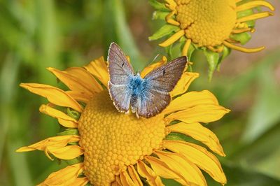 _MG_6392_proc_c.jpg