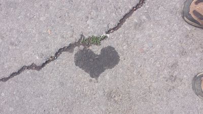 20150712_102351.jpg