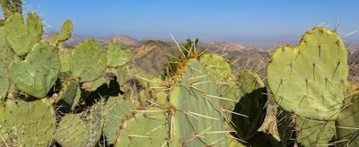 IMG_20191019_092629_proc1_c.jpg