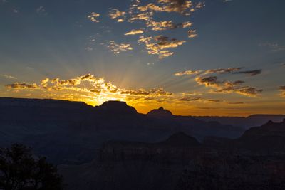 Canyon morning