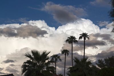 Storm in the desert
