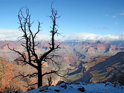 South Rim winter