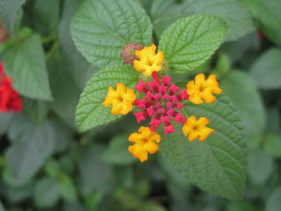 IMG_5563_proc_c.jpg
