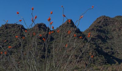 IMG_7039-1_c.jpg