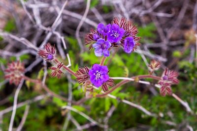 _MG_8403_proc_c.jpg