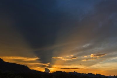 Crepuscular