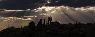 Crepuscular