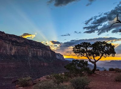 Crepuscular