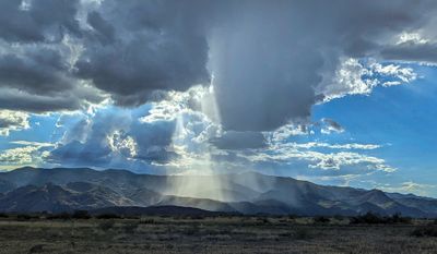 Crepuscular