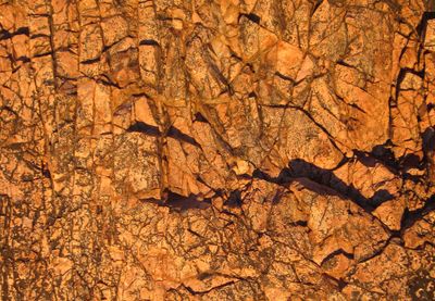 Golden hour glow on rock face