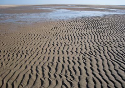 Beach along Gulf of California