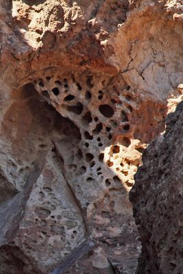 Tafoni along Hermit Trail GCNP