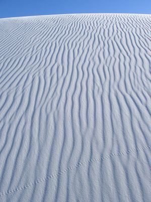 Gypsum dunes w/ insect track - White Sands NM