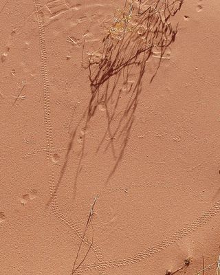 g13/90/930890/3/175301135.f5fe4b44.JPEG