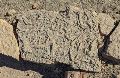 Petrified worm tracks