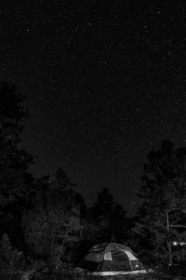 g13/90/930890/3/175345001.fd963edb.JPEG