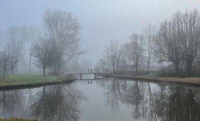 A misty morning in January