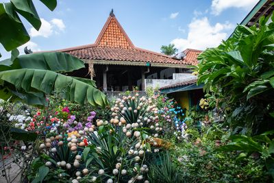 Garden at Taman Sari Water Castle