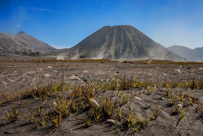 Bromo Tengger Semeru N.P.