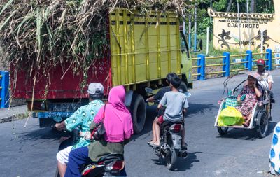 East Java (Djatiroto)