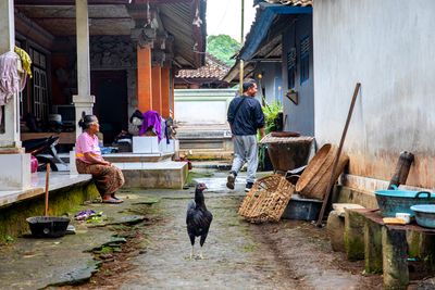Daily Life in small community (Bali)