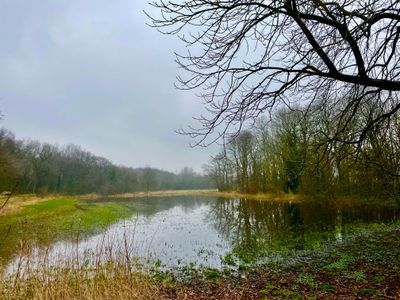 Flooded Dune area