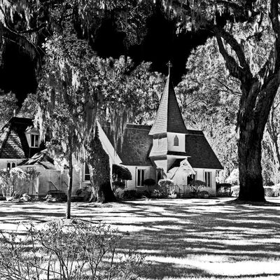 20240207_115045bw_80.jpg