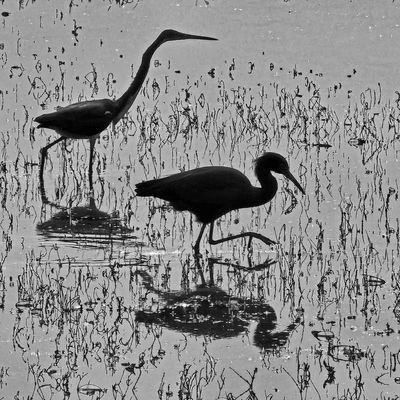 20240210_105555bw_94.jpg