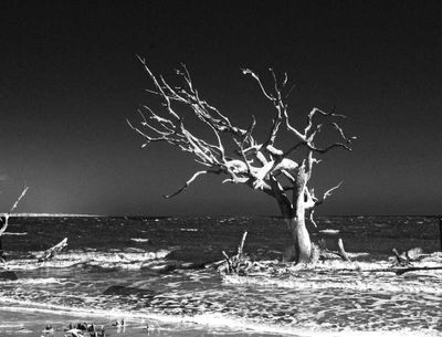 _ACS6196bw_05.jpg