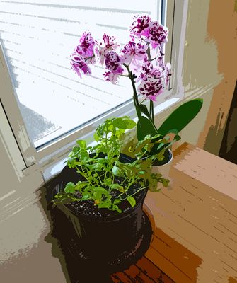 DSC00030.JPG