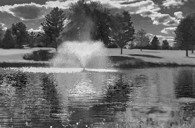 El D pond.jpg