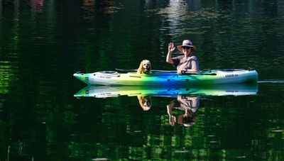 May 2023 loch traffic 2.jpg