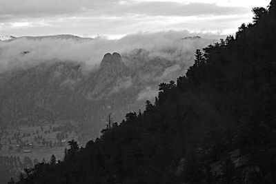 DSCF0278b_246.jpg