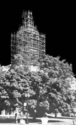 2024 Aug CH bw.jpg