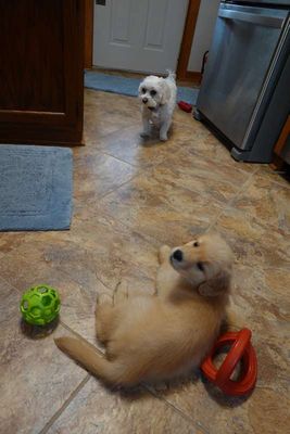 DSC01109_00.jpg