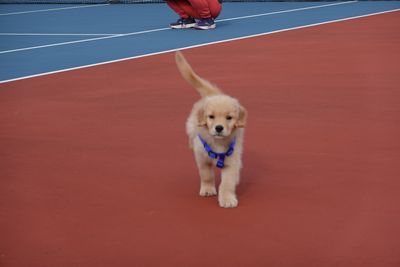 DSC01127.JPG
