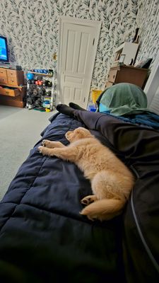 20241125_203703.jpg