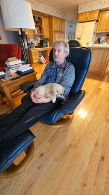 Mid day nap