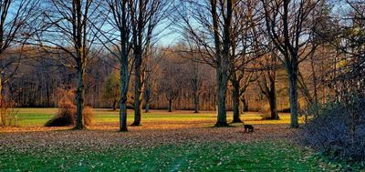 2019 Nov raynor walk_03.jpg