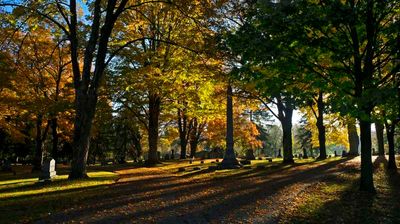 2021Oct MG_09.jpg