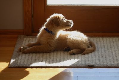 Another sun spot