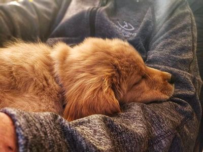 Relaxed